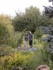 Thumbs/tn_Bild06.jpg
